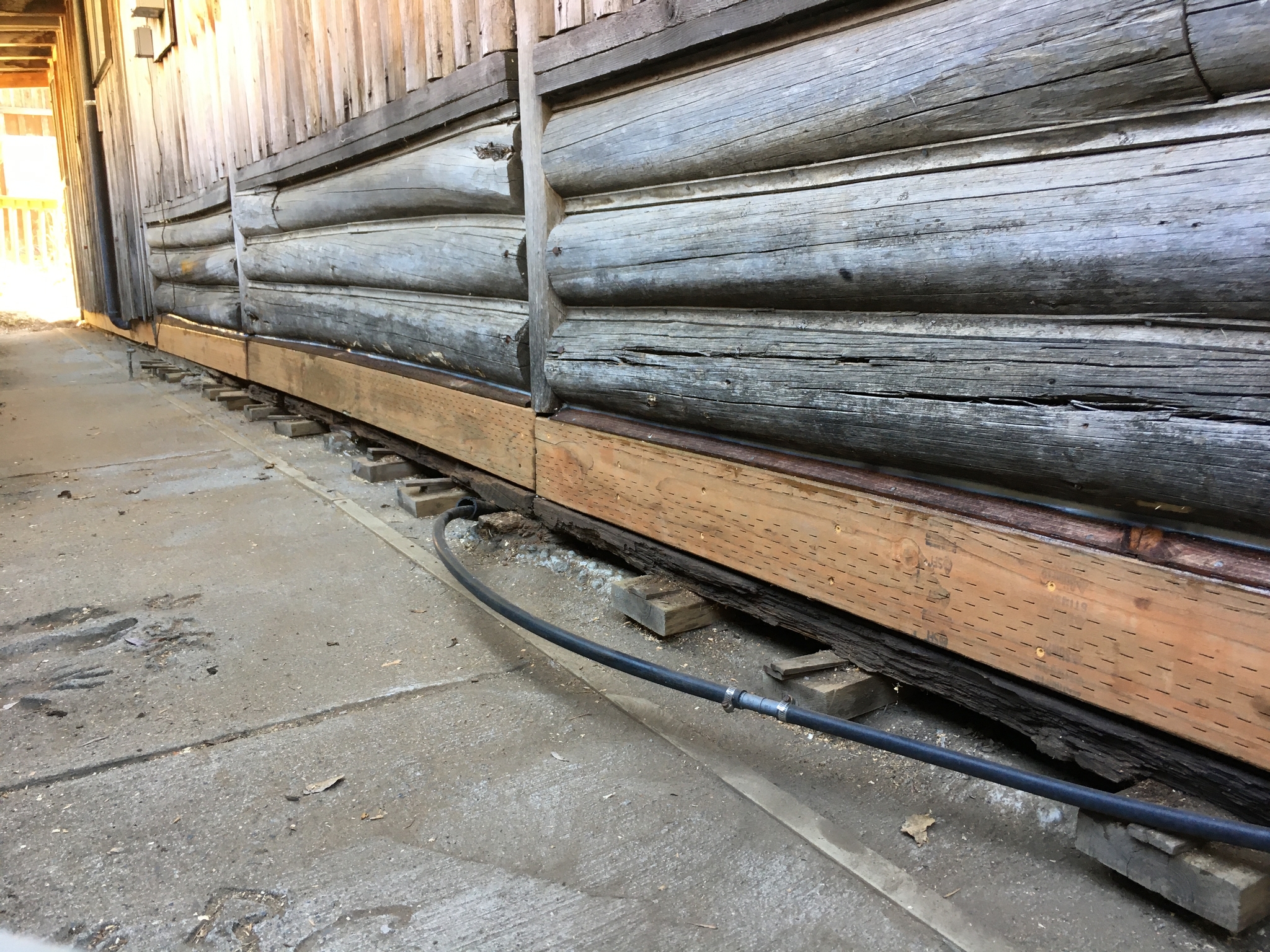 Repair of cabin with rotted sill logs. 